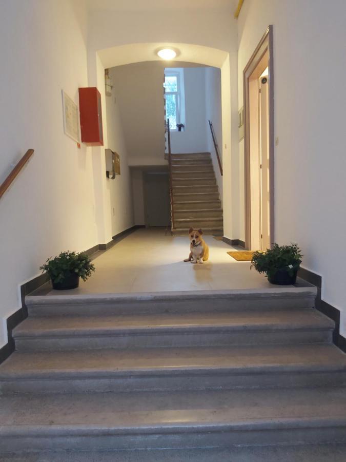Apartman Draguc بولا المظهر الخارجي الصورة